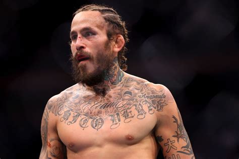 marlon vera hair